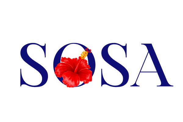 sosajewellery.com